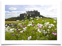 Gertrude Jekylll's Garden, Lindisfarne - Helen Kulczycki